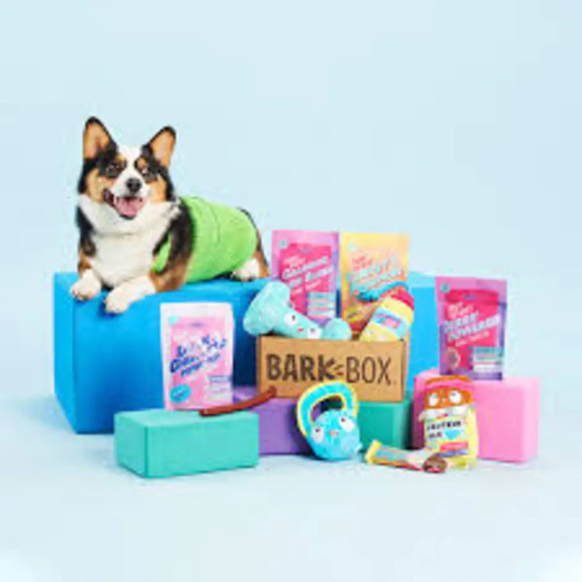 How Can I Contact BarkBox Customer Service